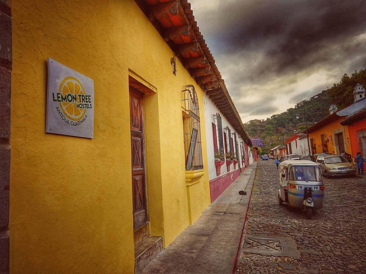 Lemon Tree Hostel Antigua Dış mekan fotoğraf