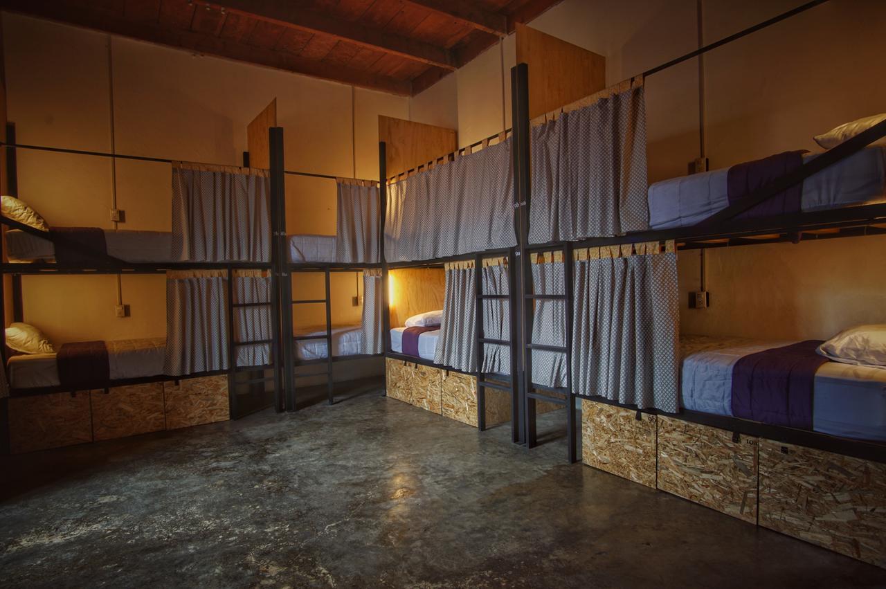 Lemon Tree Hostel Antigua Dış mekan fotoğraf